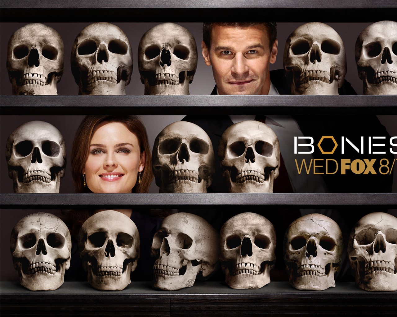 Bones wallpaper #5 - 1280x1024