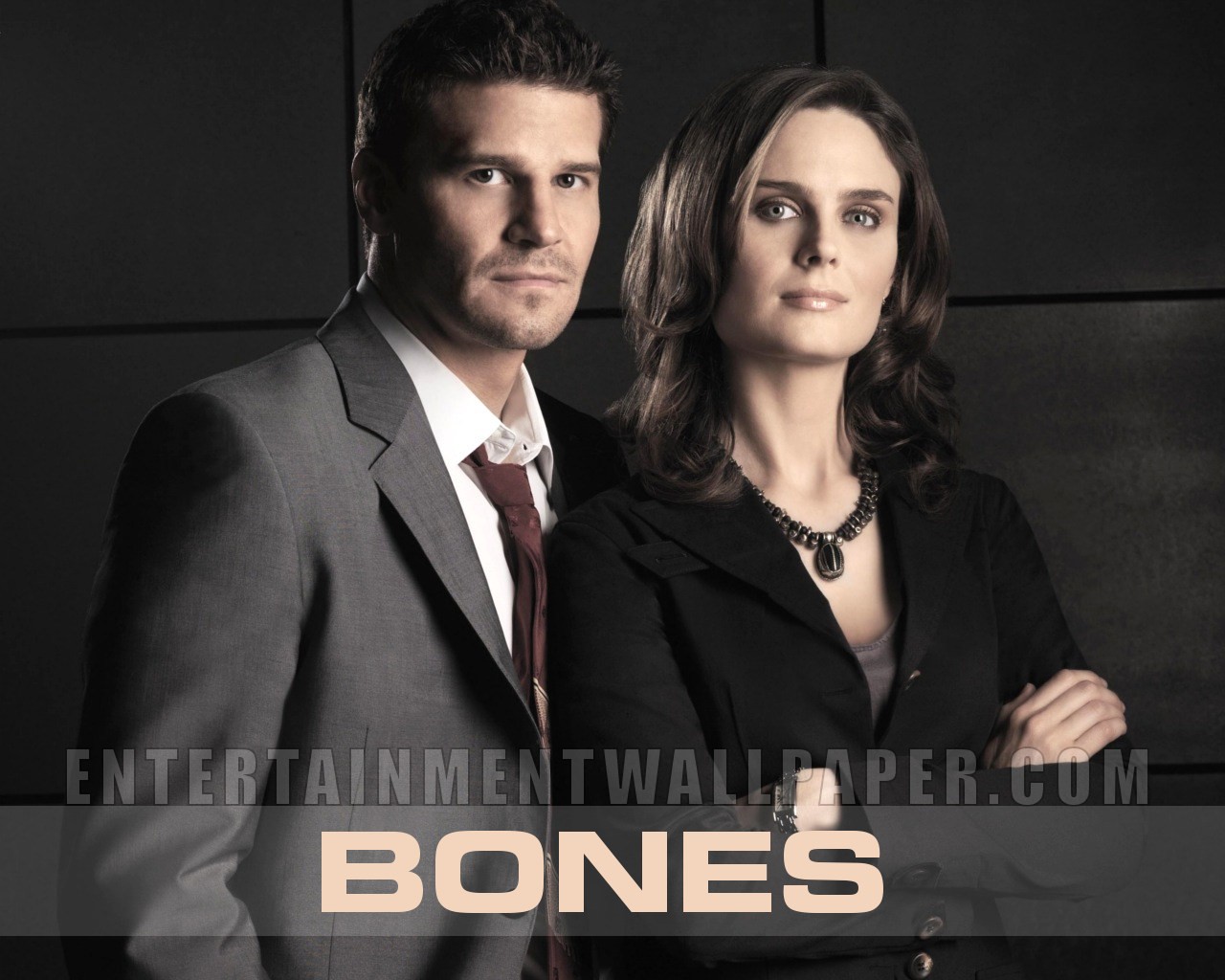 Bones wallpaper #11 - 1280x1024