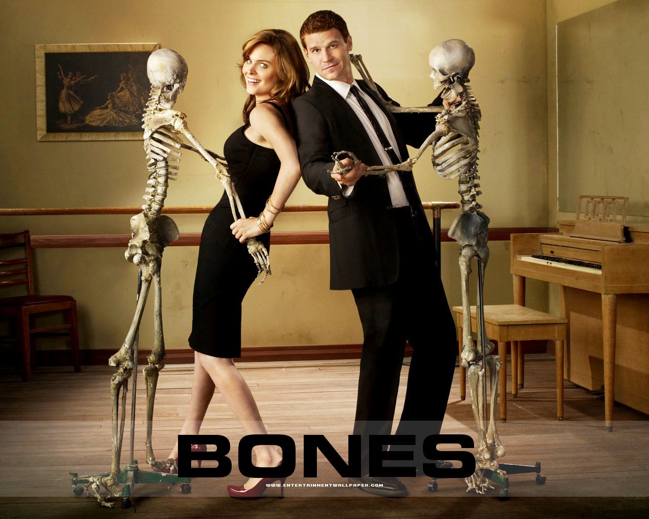 Bones Tapete #26 - 1280x1024