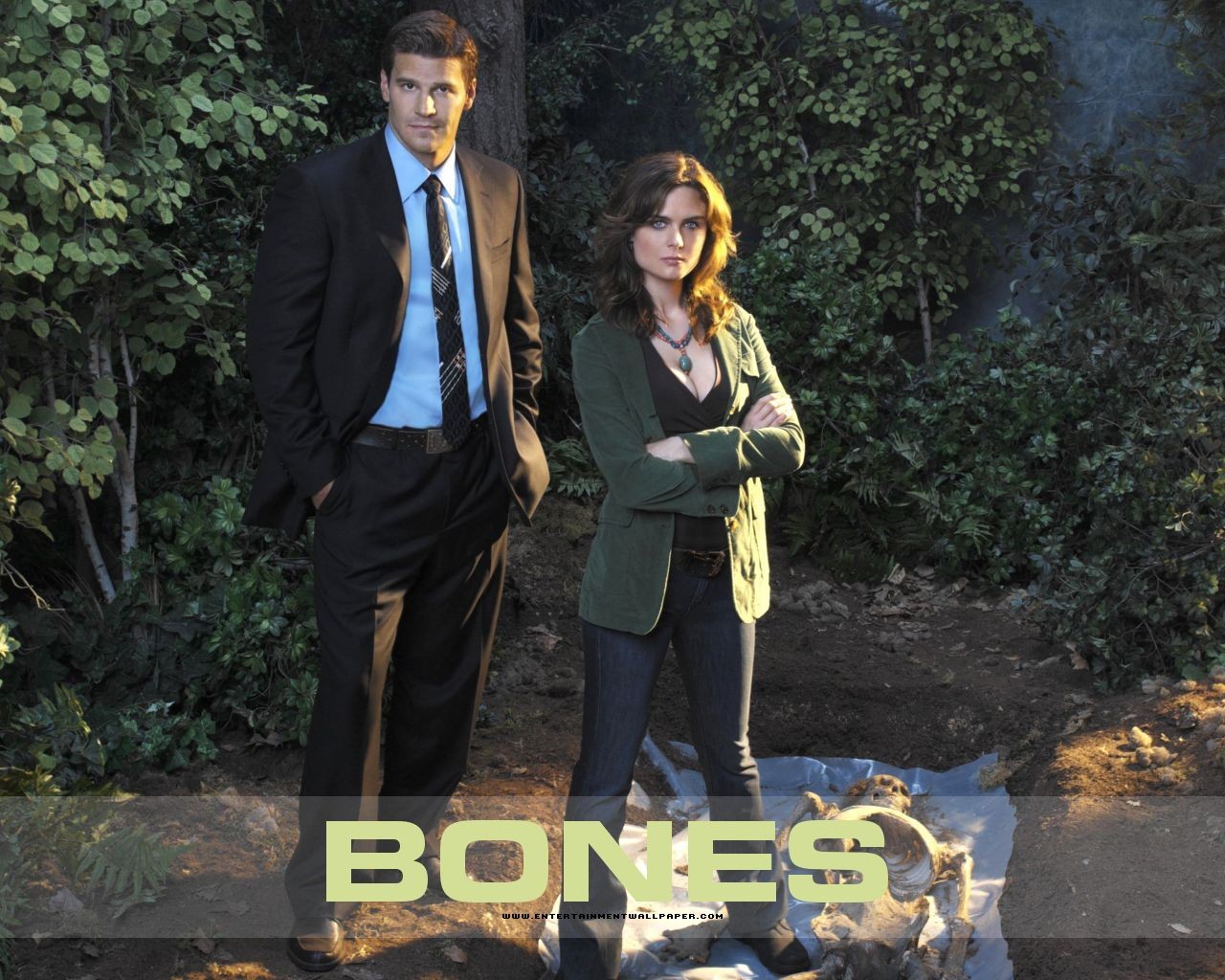 Bones Tapete #35 - 1280x1024