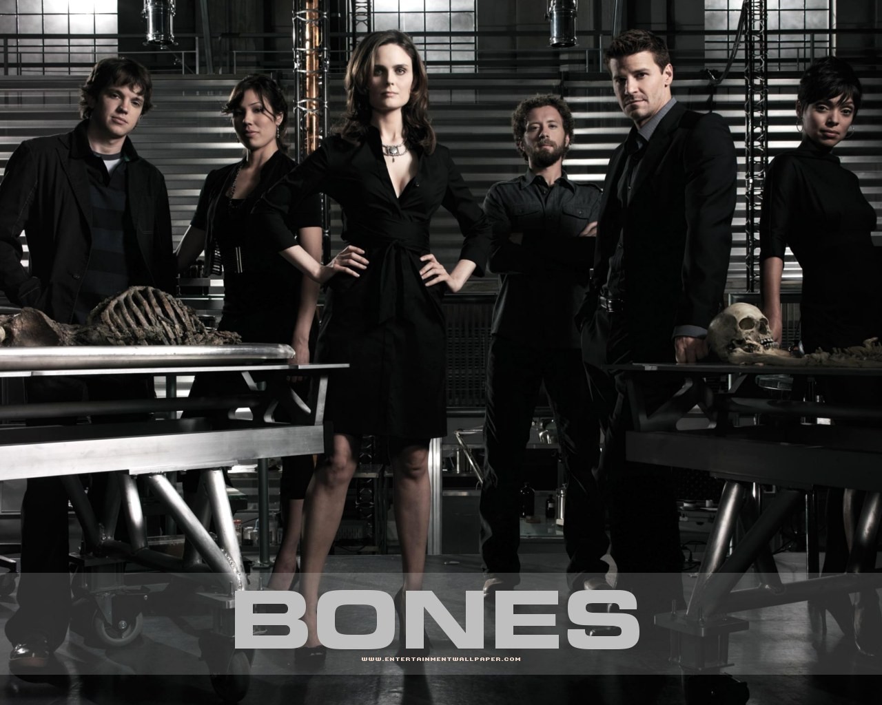 Bones Tapete #36 - 1280x1024