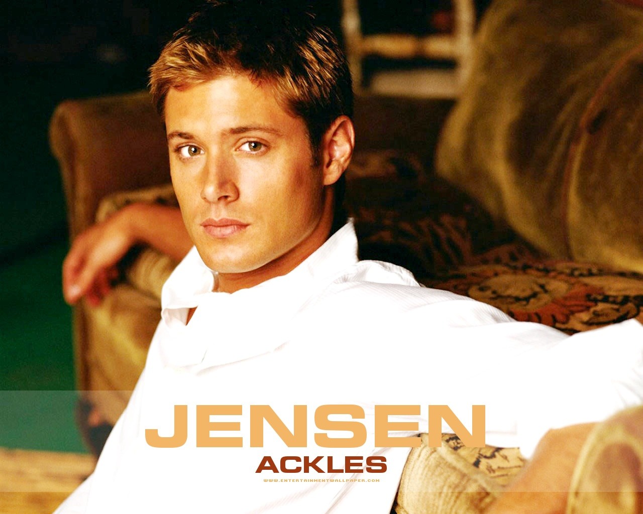 Jensen Ackles wallpaper #7 - 1280x1024