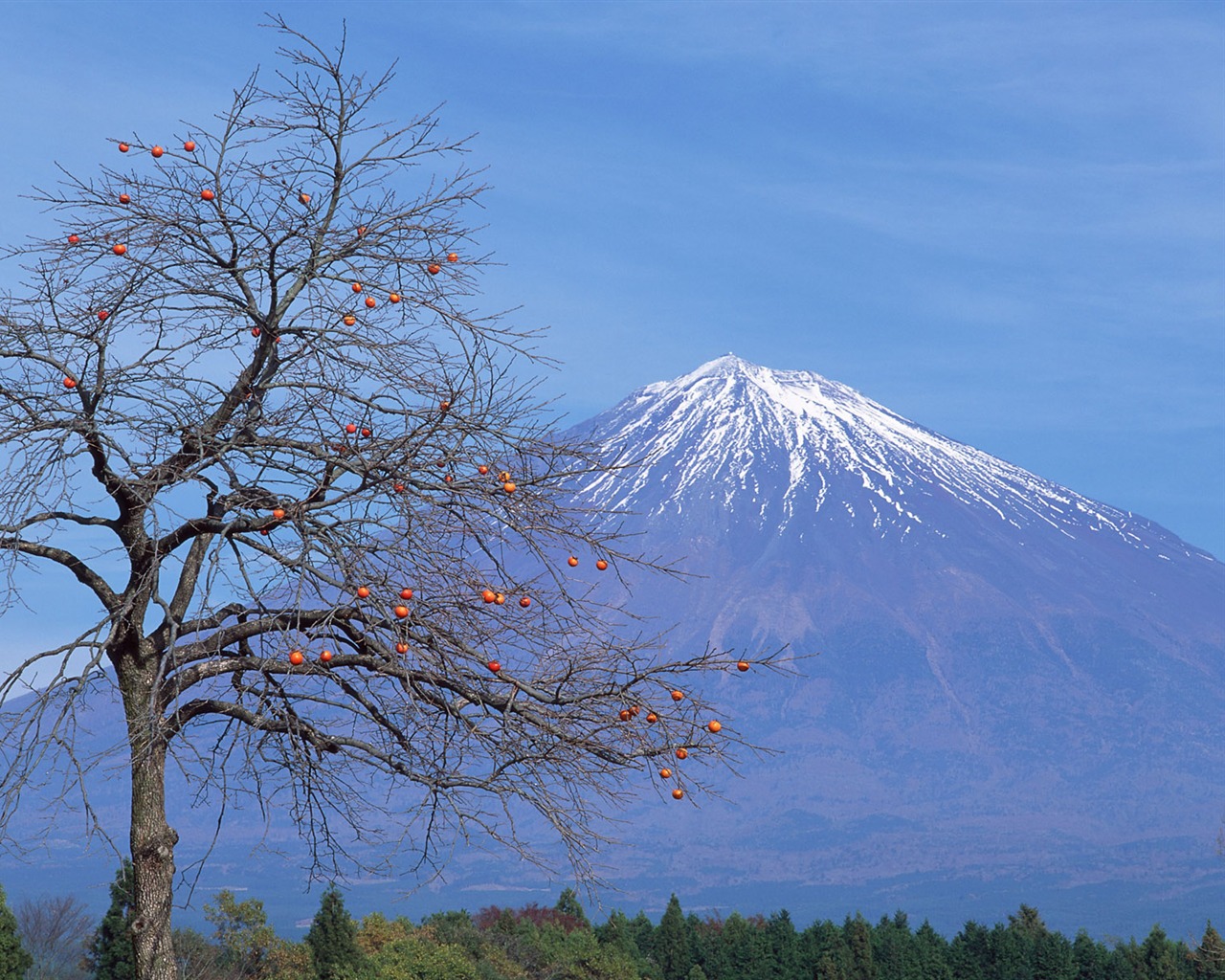 Fuji Álbum Fondos de Paisajes #26 - 1280x1024