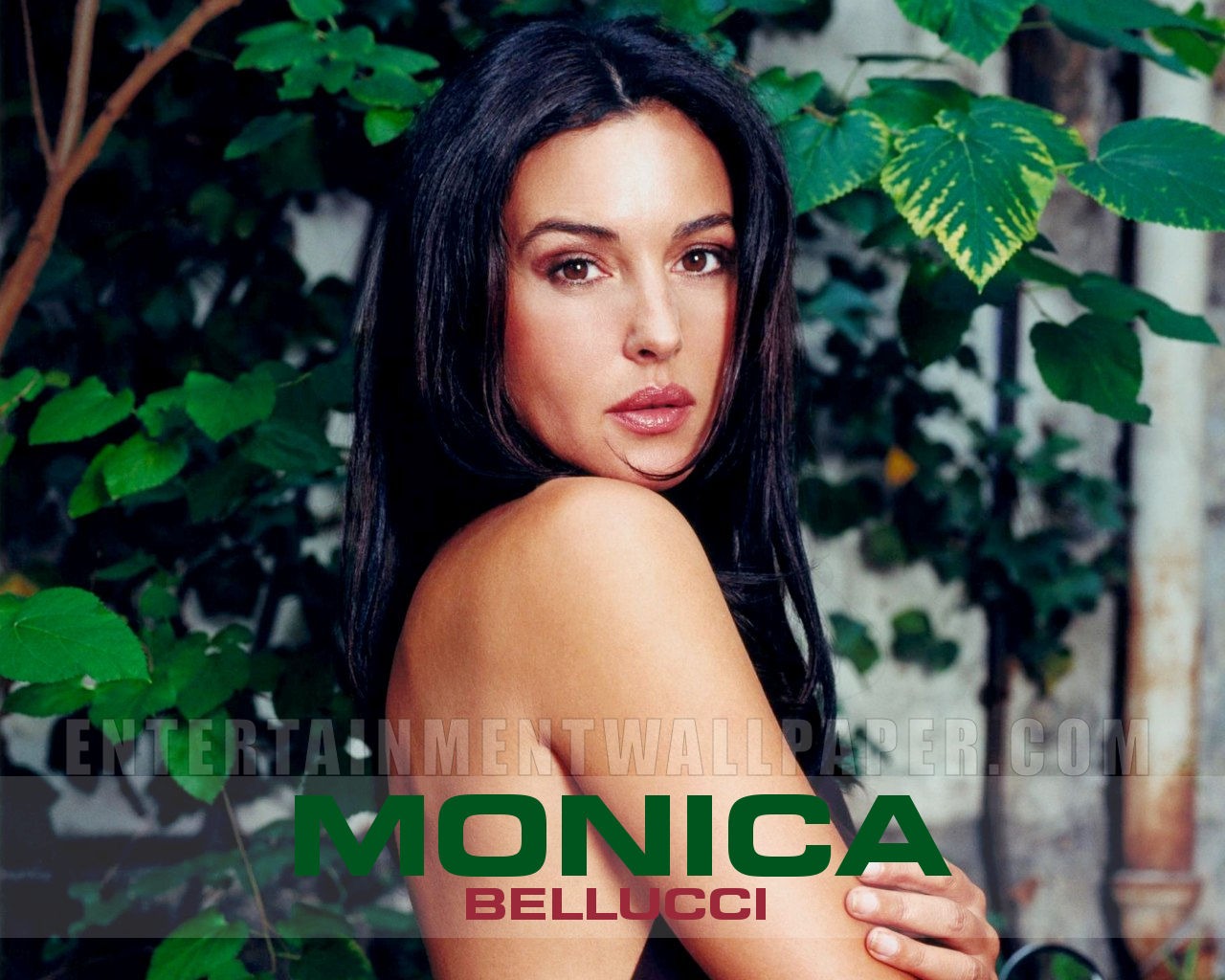 Monica Bellucci 莫妮卡·贝鲁奇3 - 1280x1024