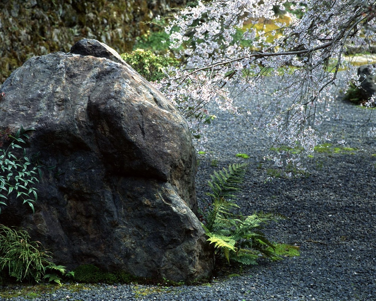 Printemps fonds d'écran Nature #23 - 1280x1024