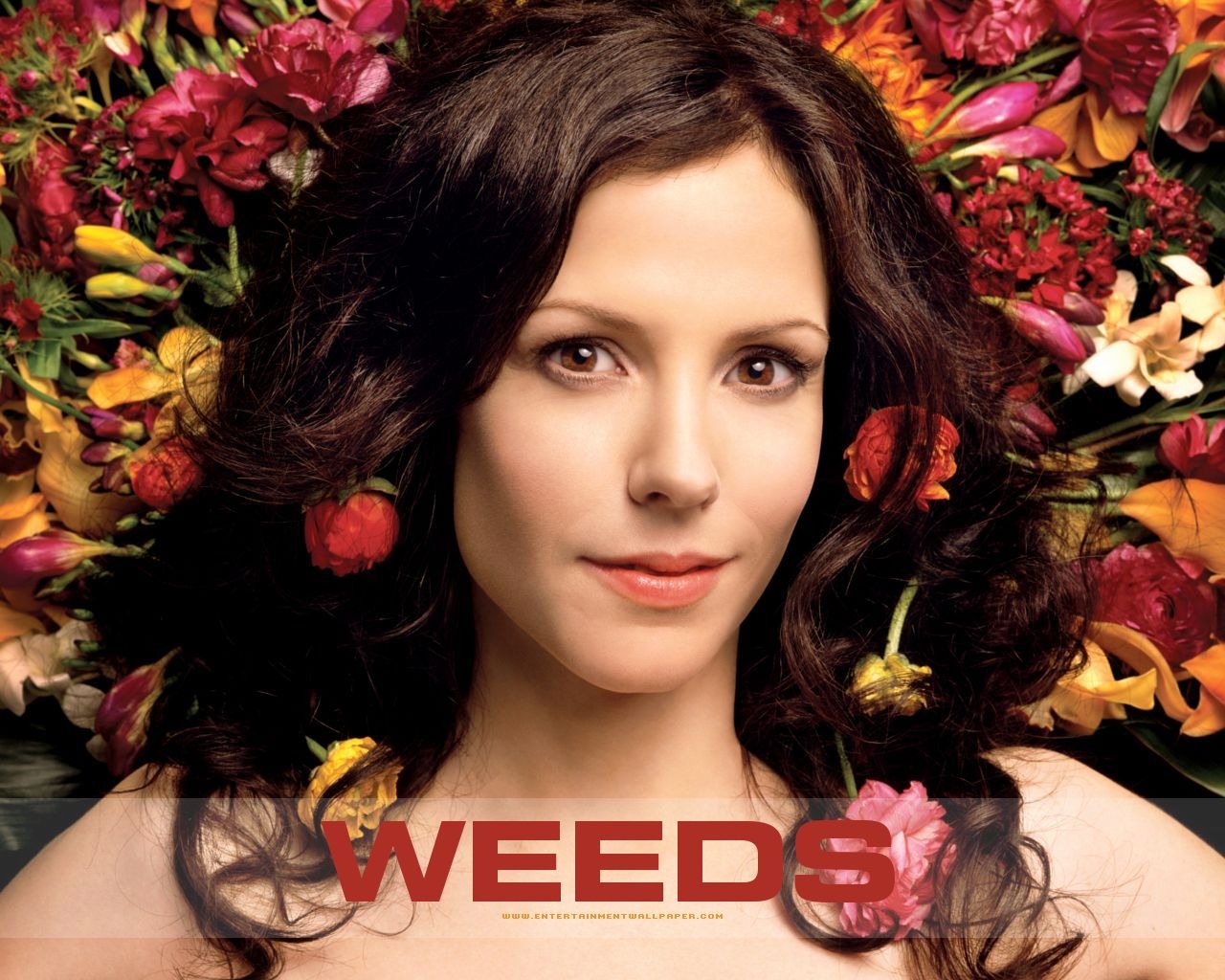 Weeds Tapete #14 - 1280x1024