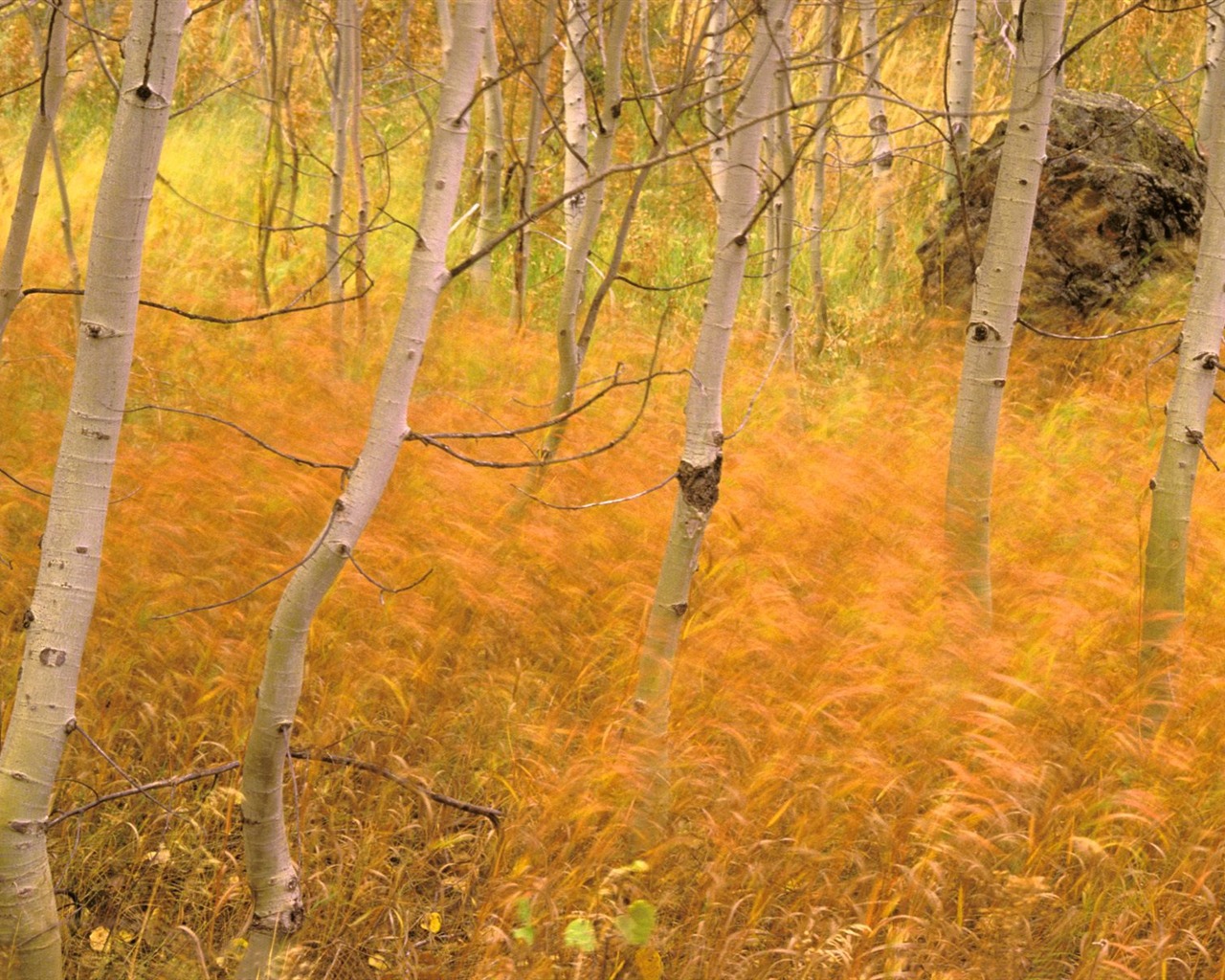 Podzimní krajina krásná tapeta #10 - 1280x1024
