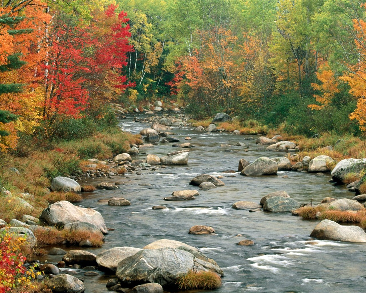 Podzimní krajina krásná tapeta #15 - 1280x1024