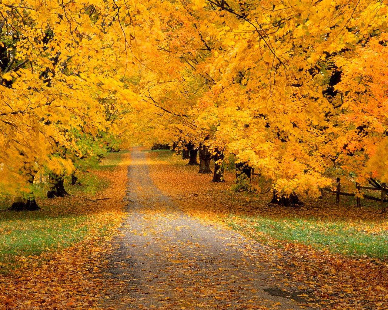 Podzimní krajina krásná tapeta #16 - 1280x1024