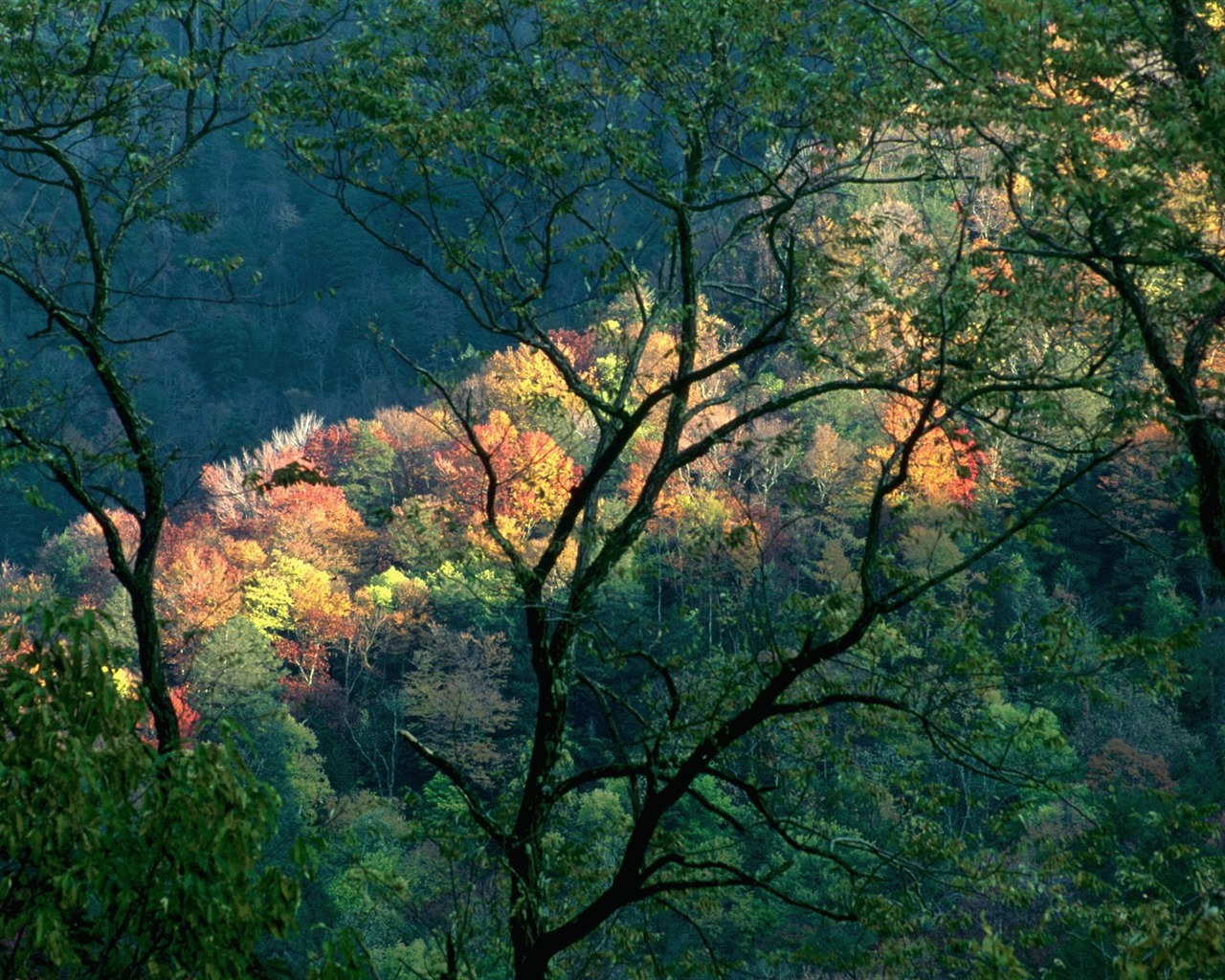 Podzimní krajina krásná tapeta #22 - 1280x1024