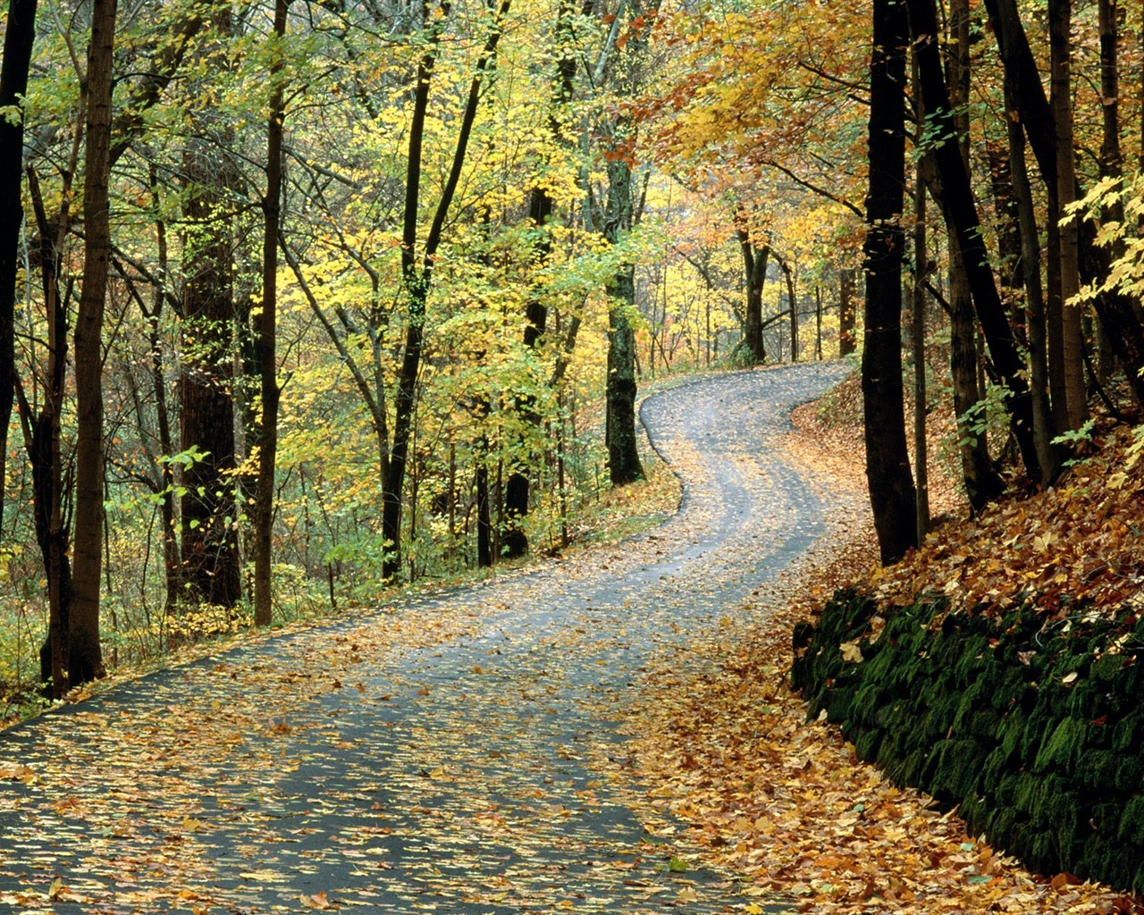 Podzimní krajina krásná tapeta #23 - 1280x1024