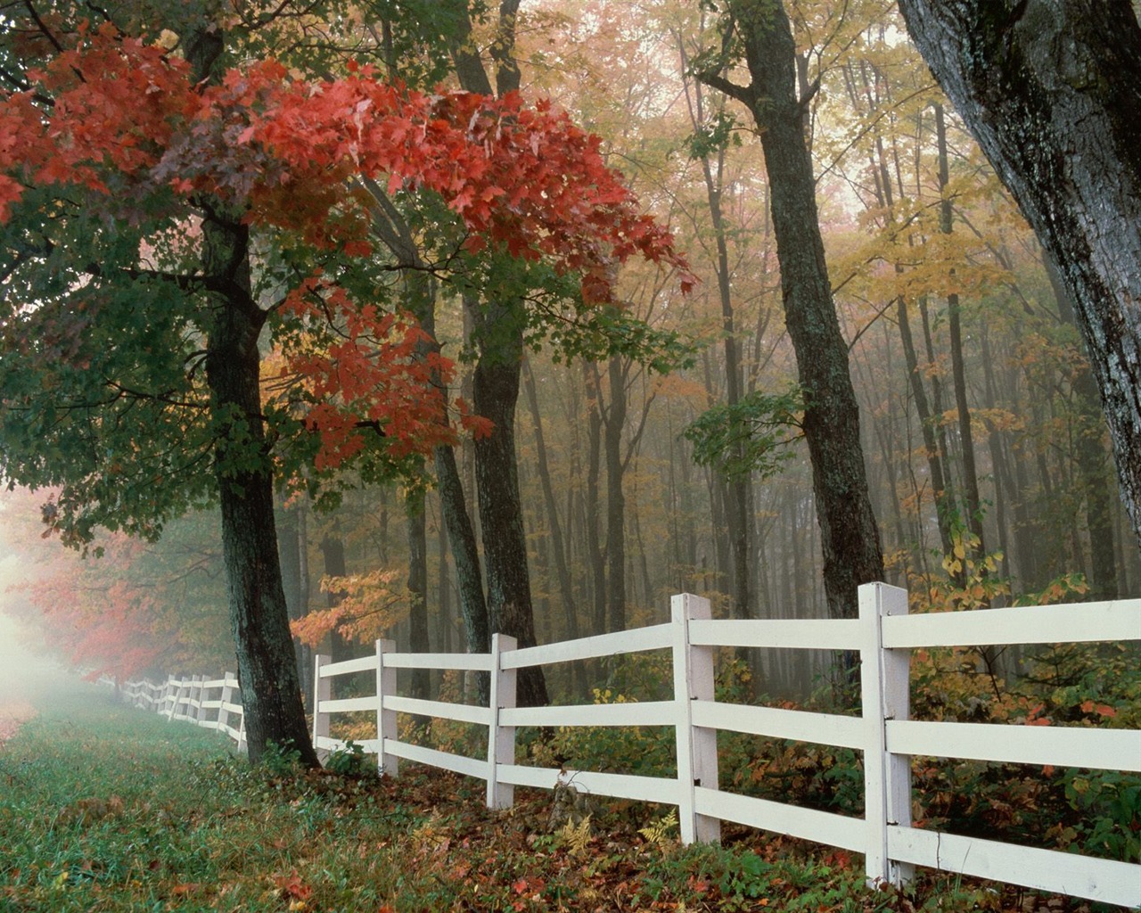 Podzimní krajina krásná tapeta #24 - 1280x1024