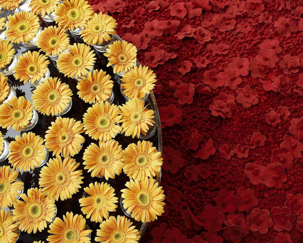 Širokoúhlé tapety květiny close-up #21 - 1280x1024