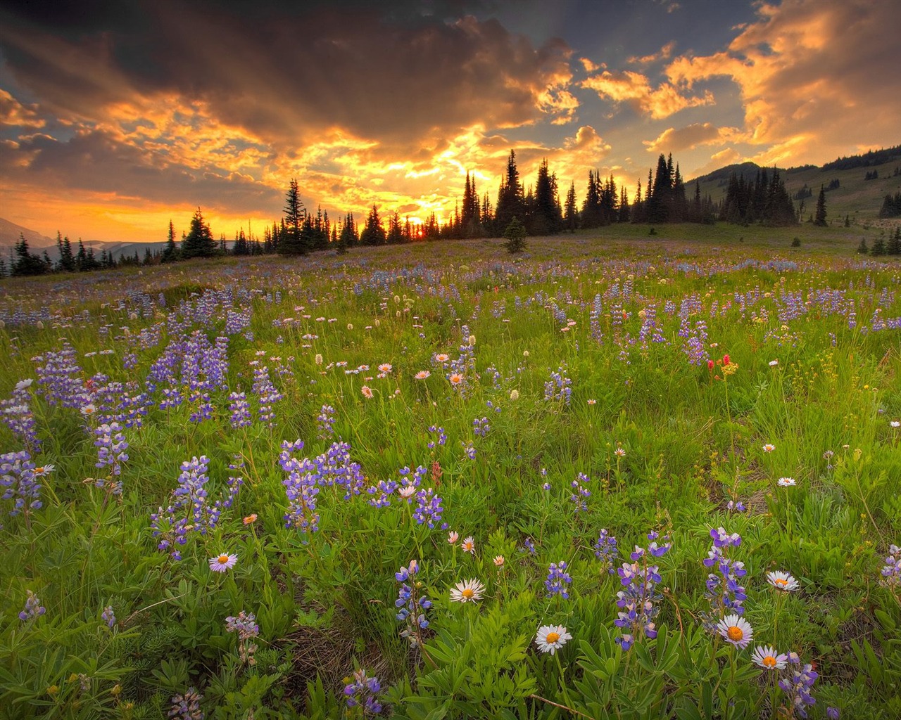 Impresionante paisaje de fondo de pantalla HD #30 - 1280x1024