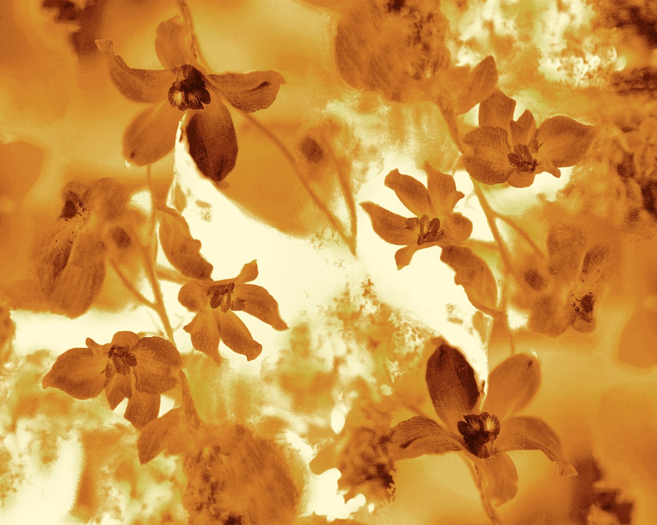 Fondos de pantalla de tinta exquisita flor #15 - 1280x1024