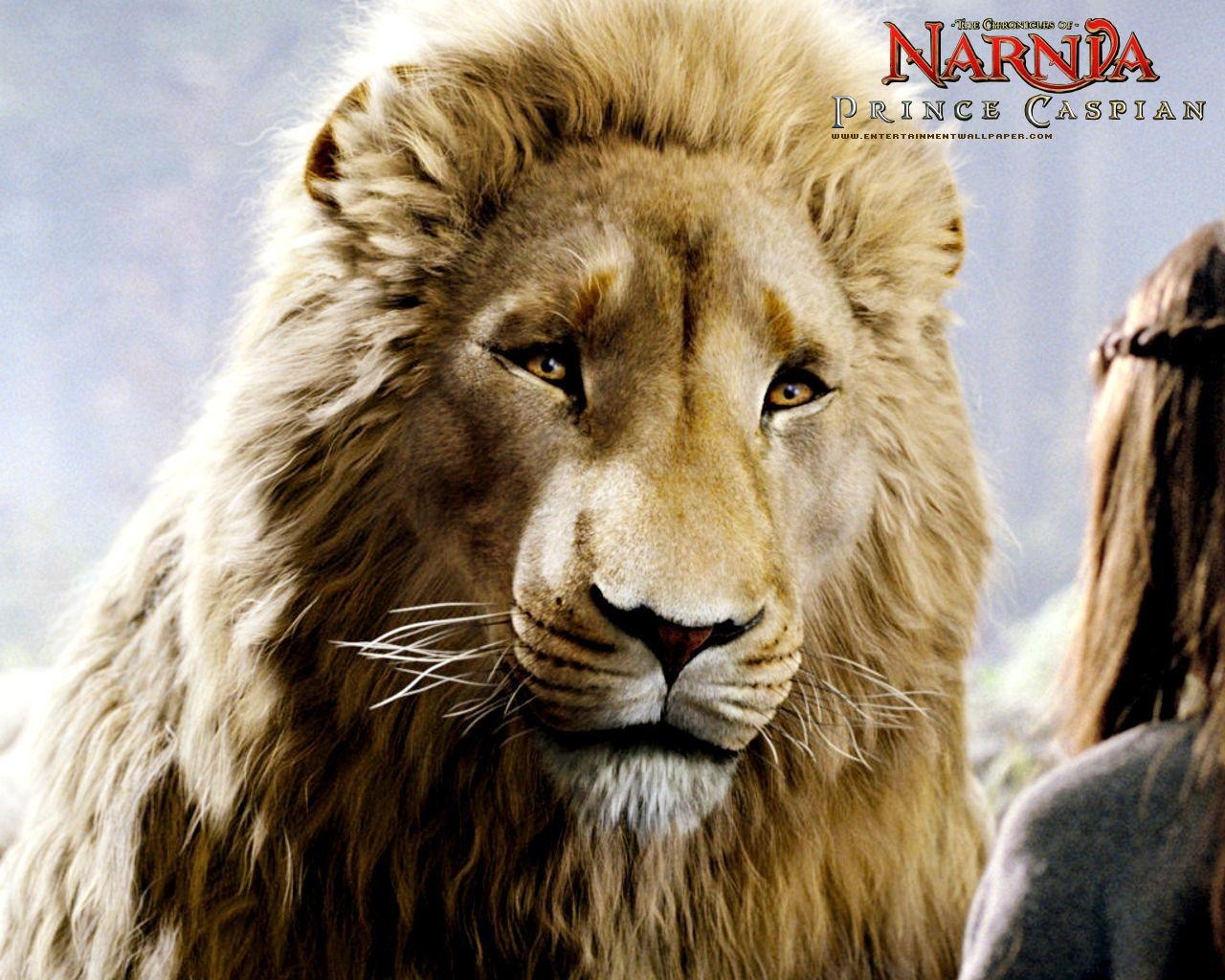 Las Crónicas de Narnia 2: El Príncipe Caspian #5 - 1280x1024