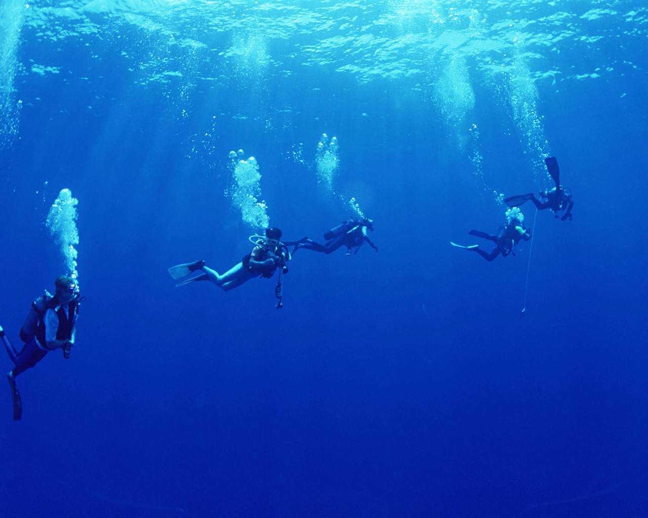 深蓝海底世界壁纸2 - 1280x1024