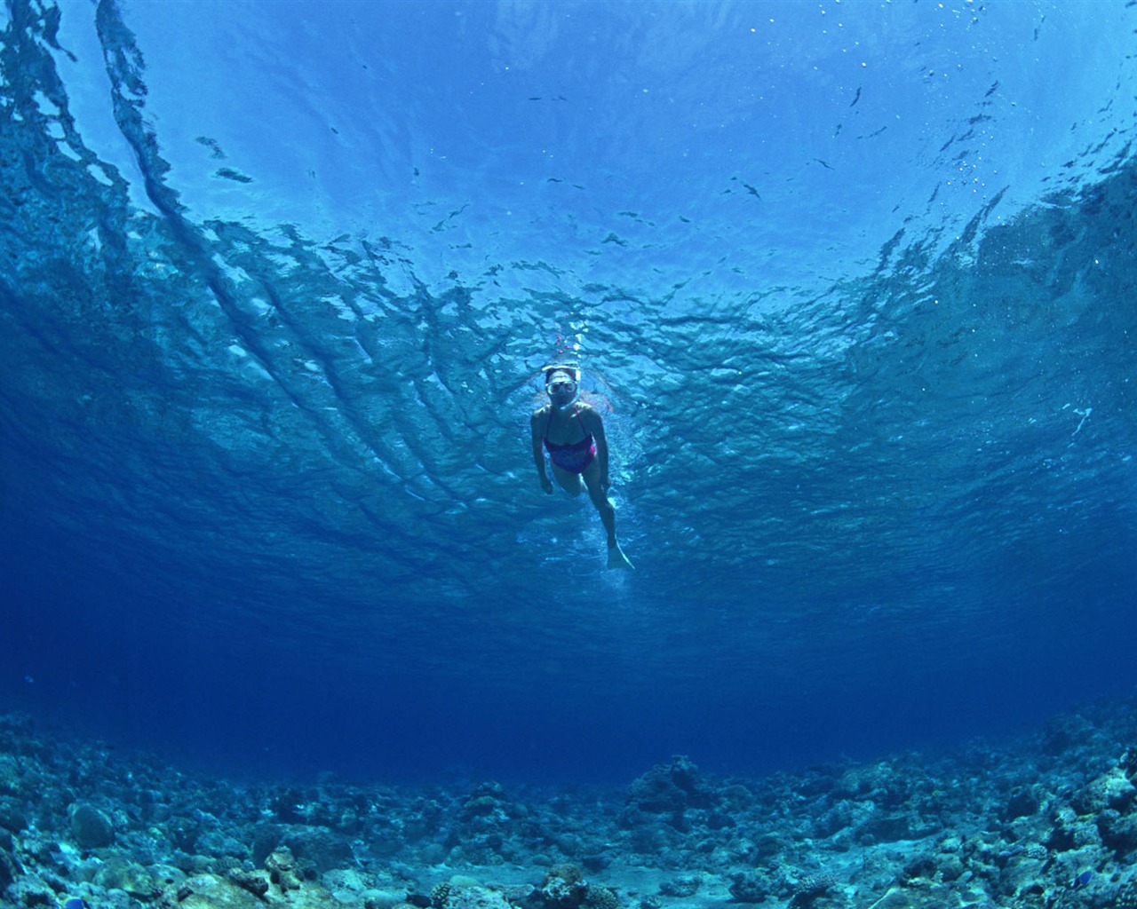 Fondo de pantalla azul profundo Mundial de Actividades Subacuáticas #27 - 1280x1024