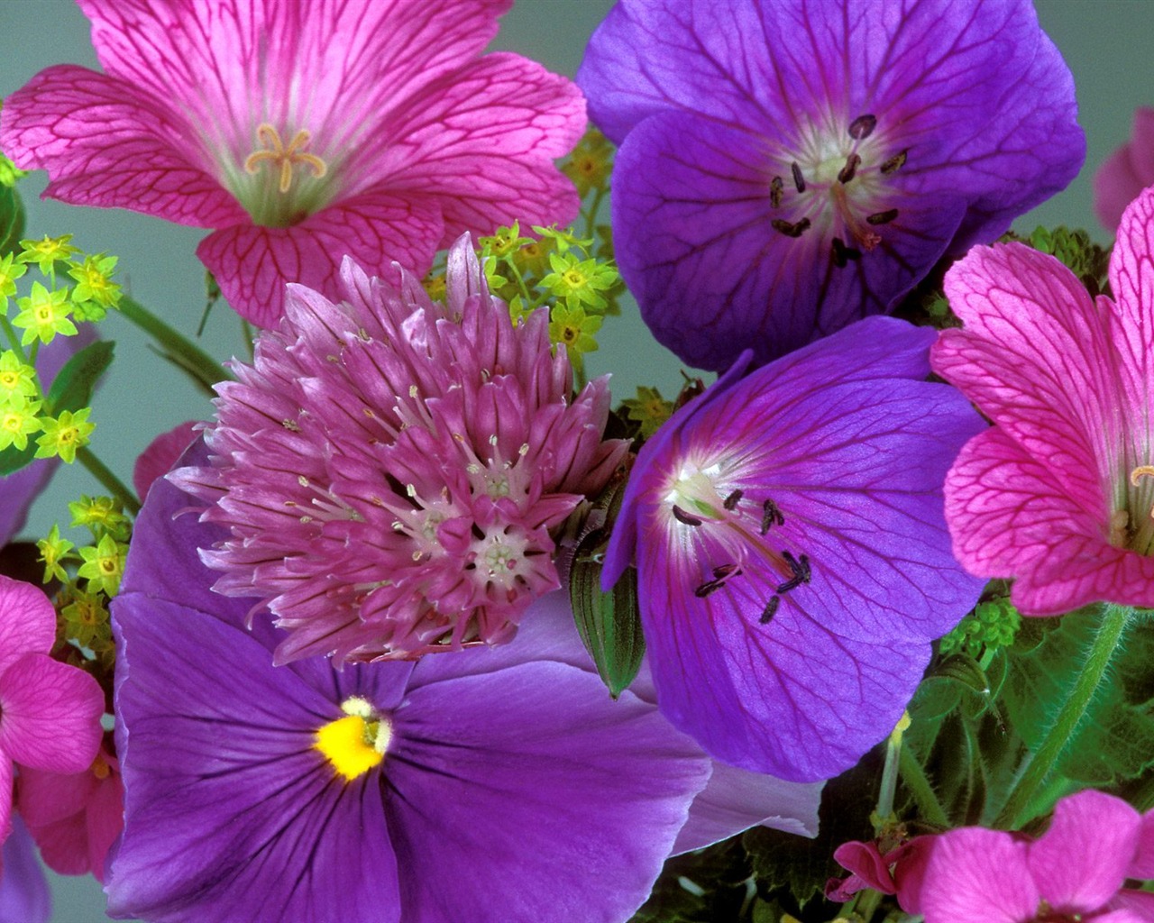 Květiny close-up (9) #10 - 1280x1024