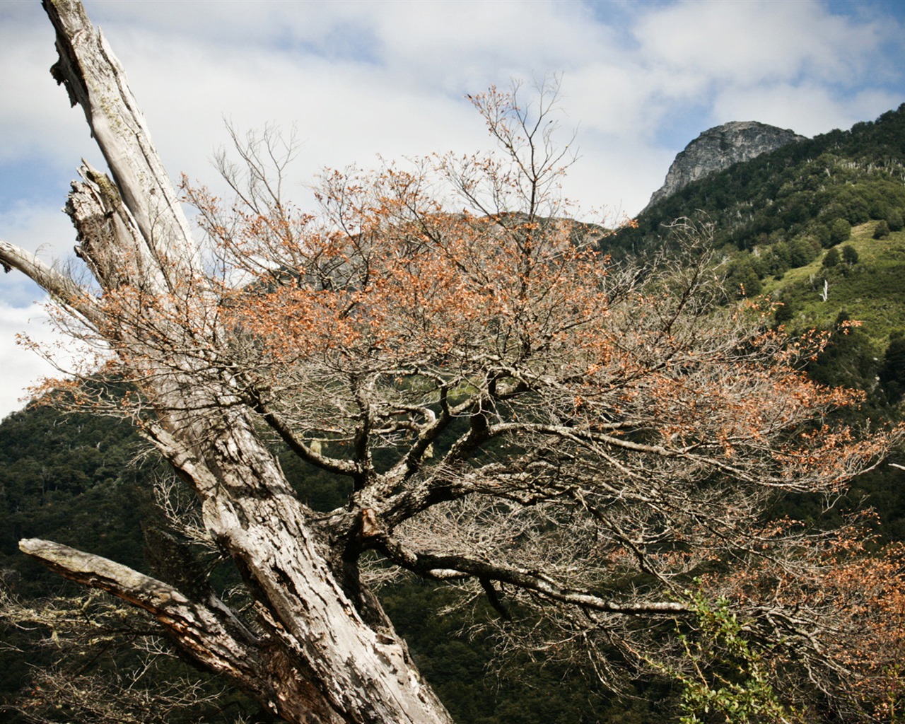 Patagonia natural scenery Wallpaper #20 - 1280x1024