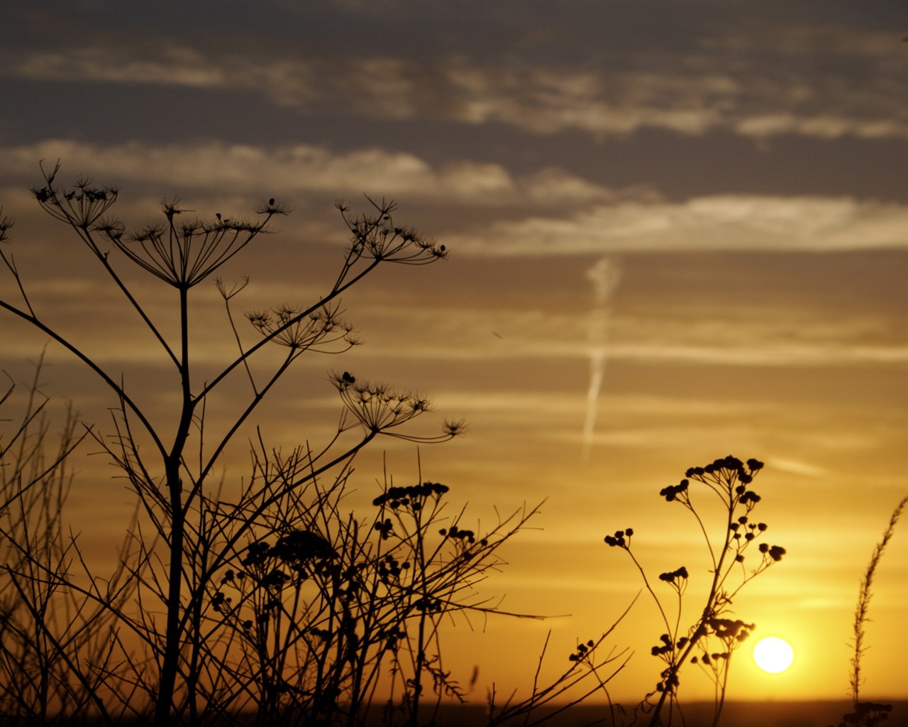 záře slunce HD skvělé tapety (1) #30 - 1280x1024