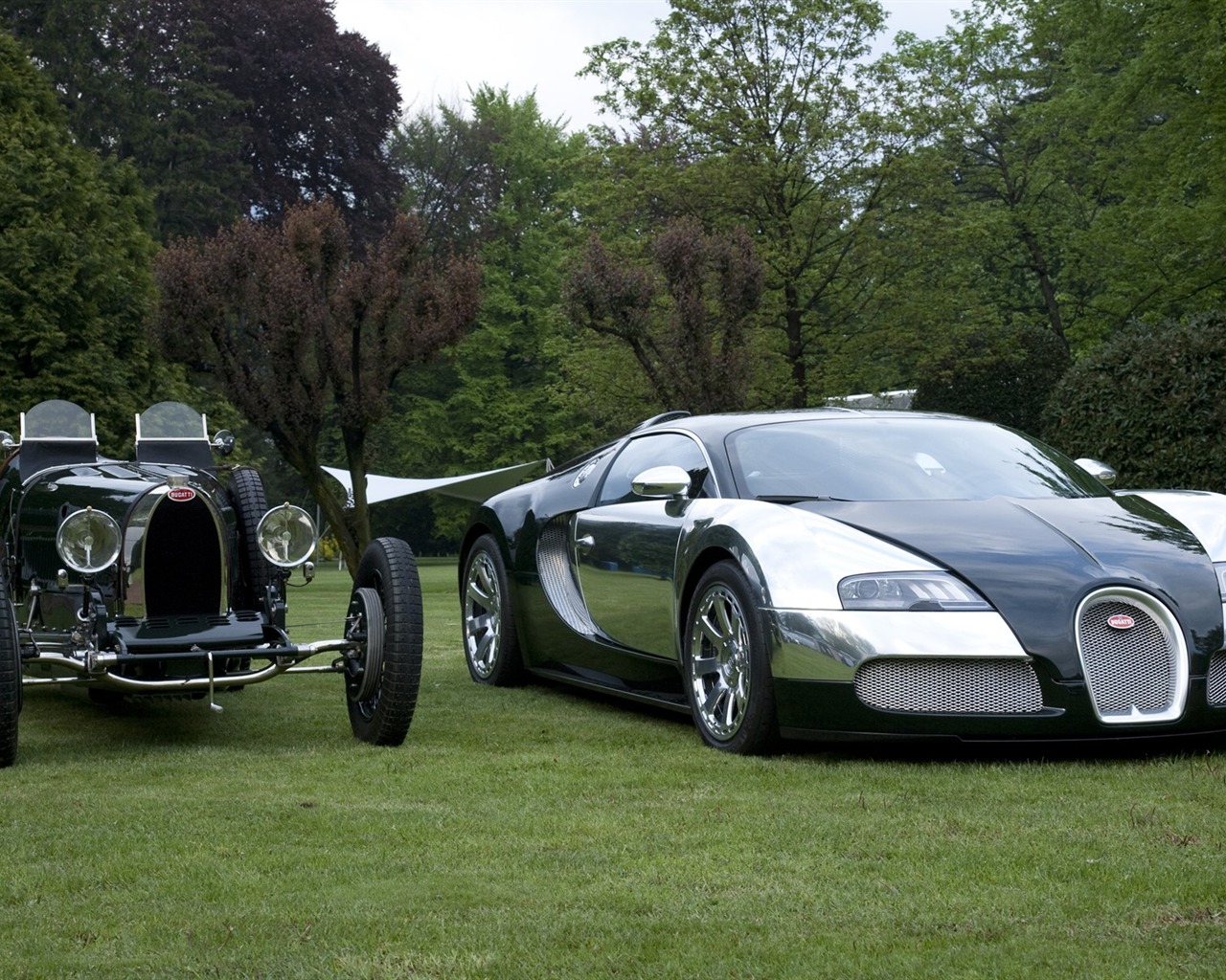 Bugatti Veyron Wallpaper Album (2) #12 - 1280x1024