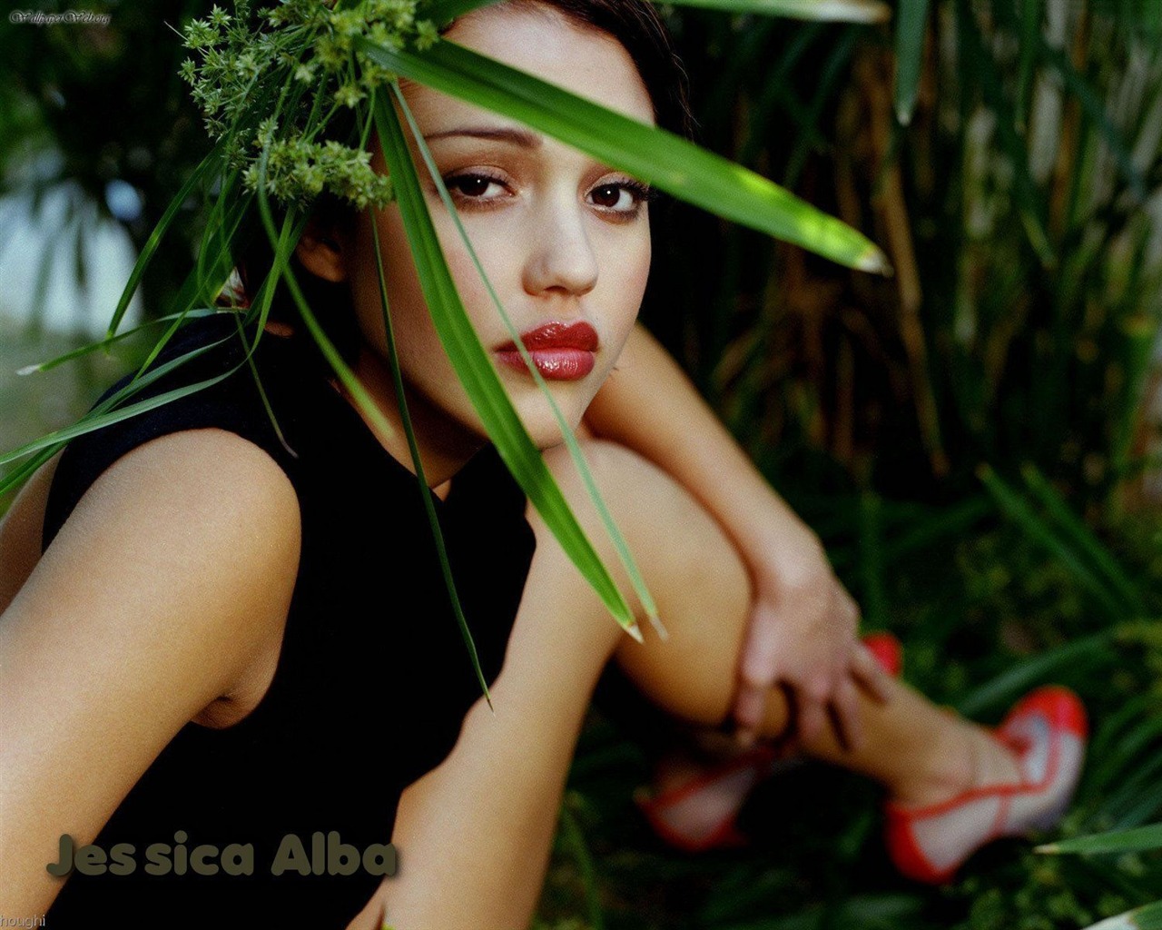 美女Jessica Alba 傑西卡·奧爾巴壁紙(三) #1 - 1280x1024