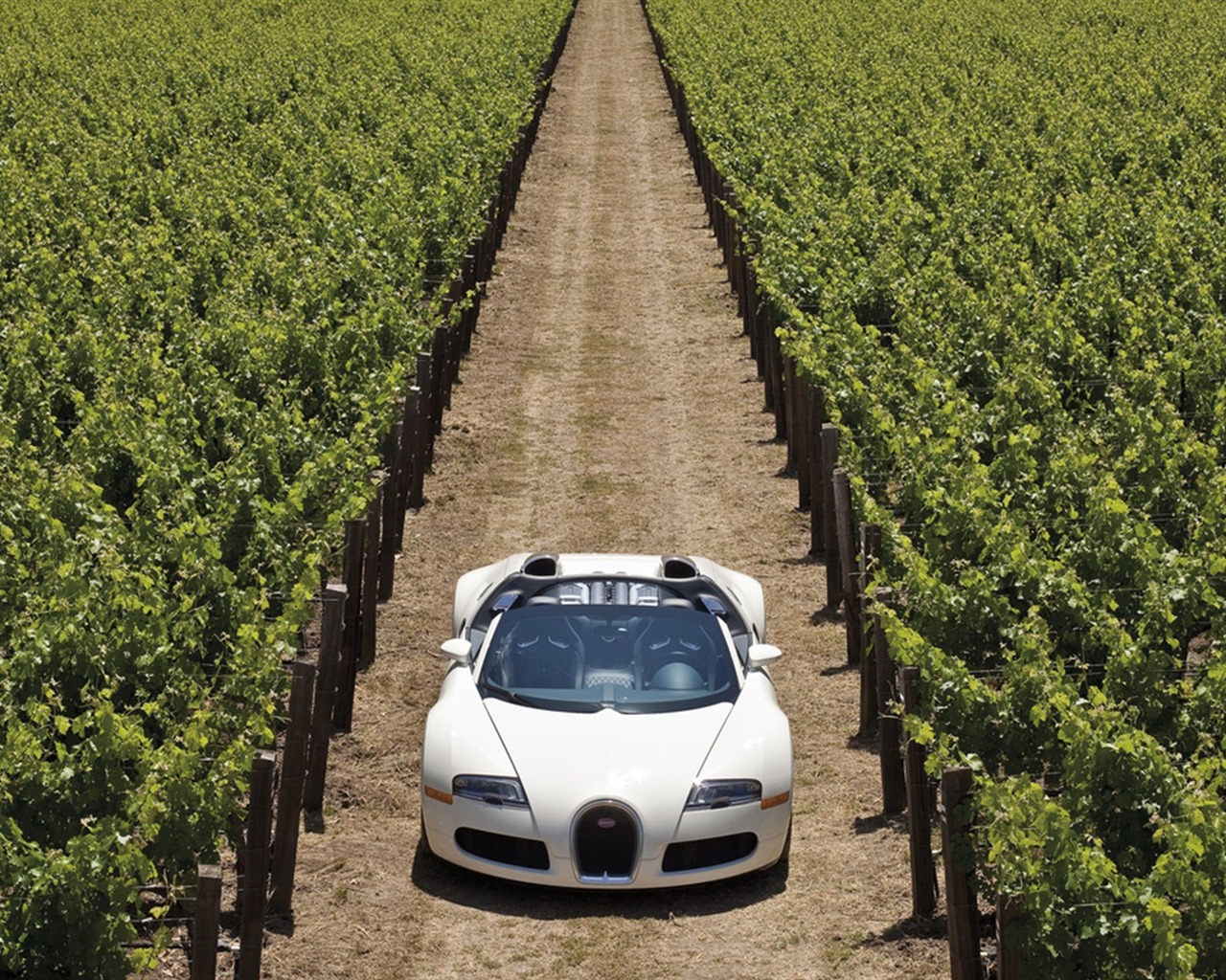 Bugatti Veyron обои Альбом (3) #3 - 1280x1024
