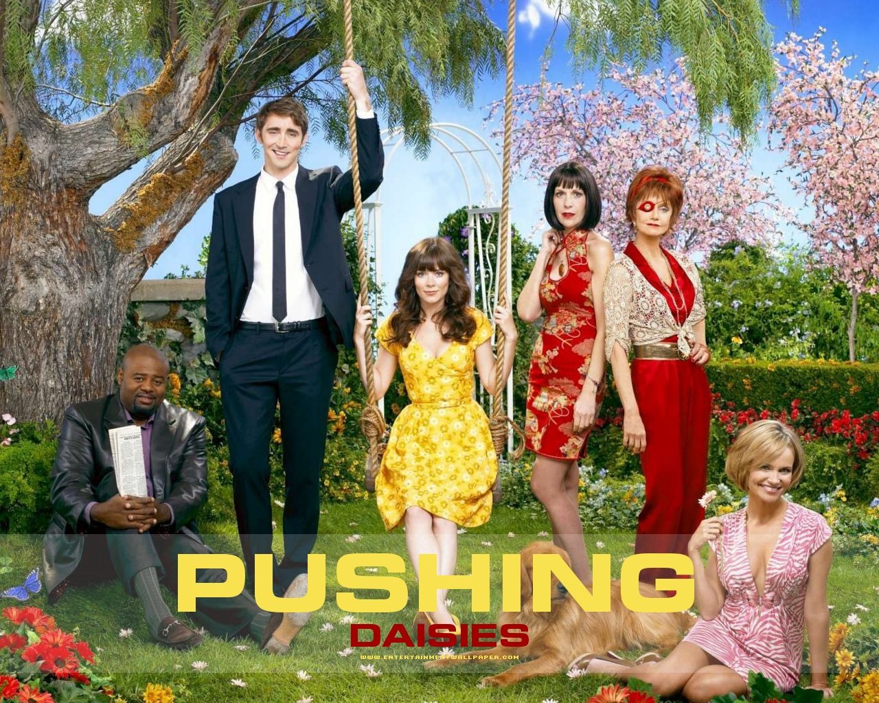 Pushing Daisies Tapete #1 - 1280x1024