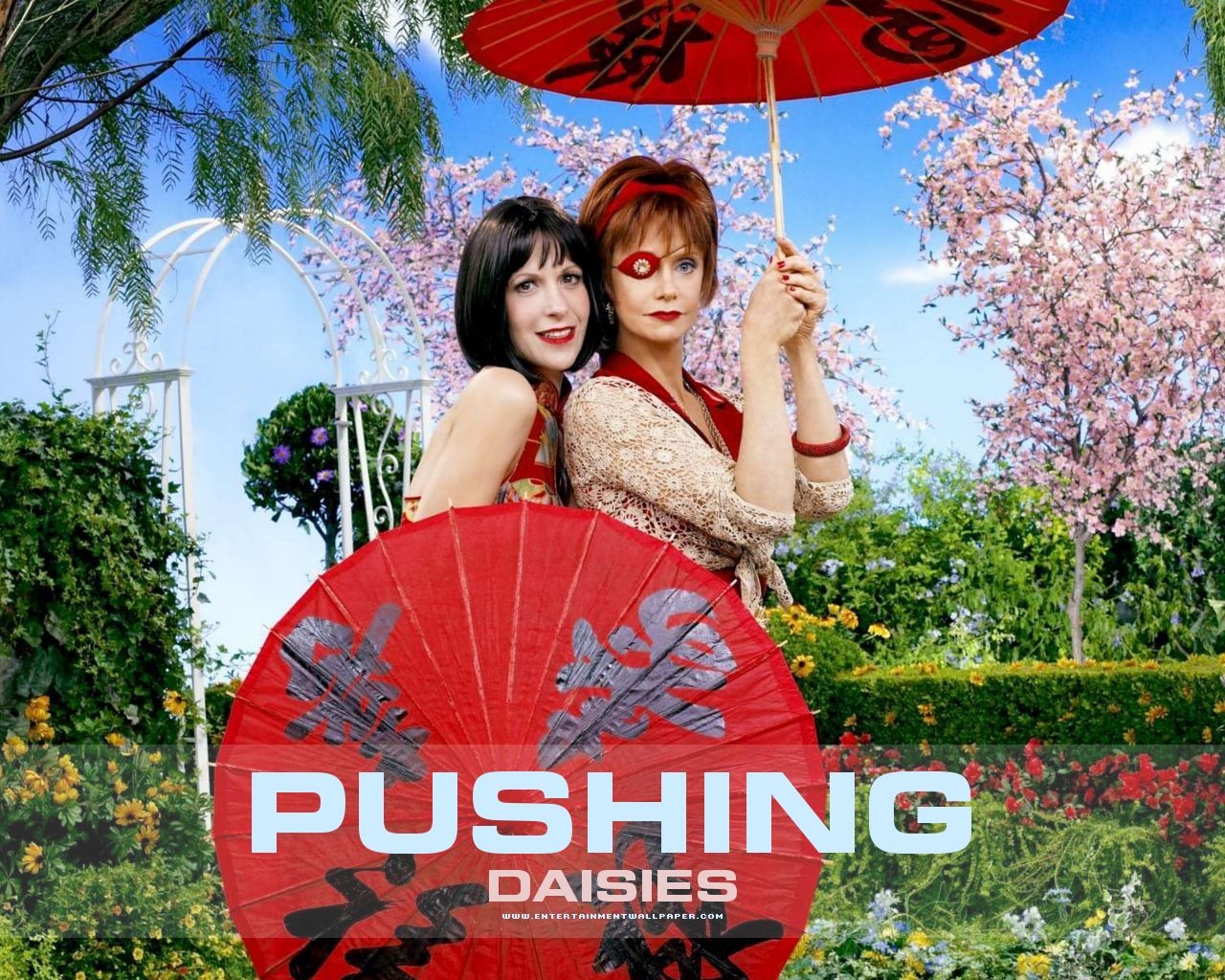 Pushing Daisies fond d'écran #7 - 1280x1024