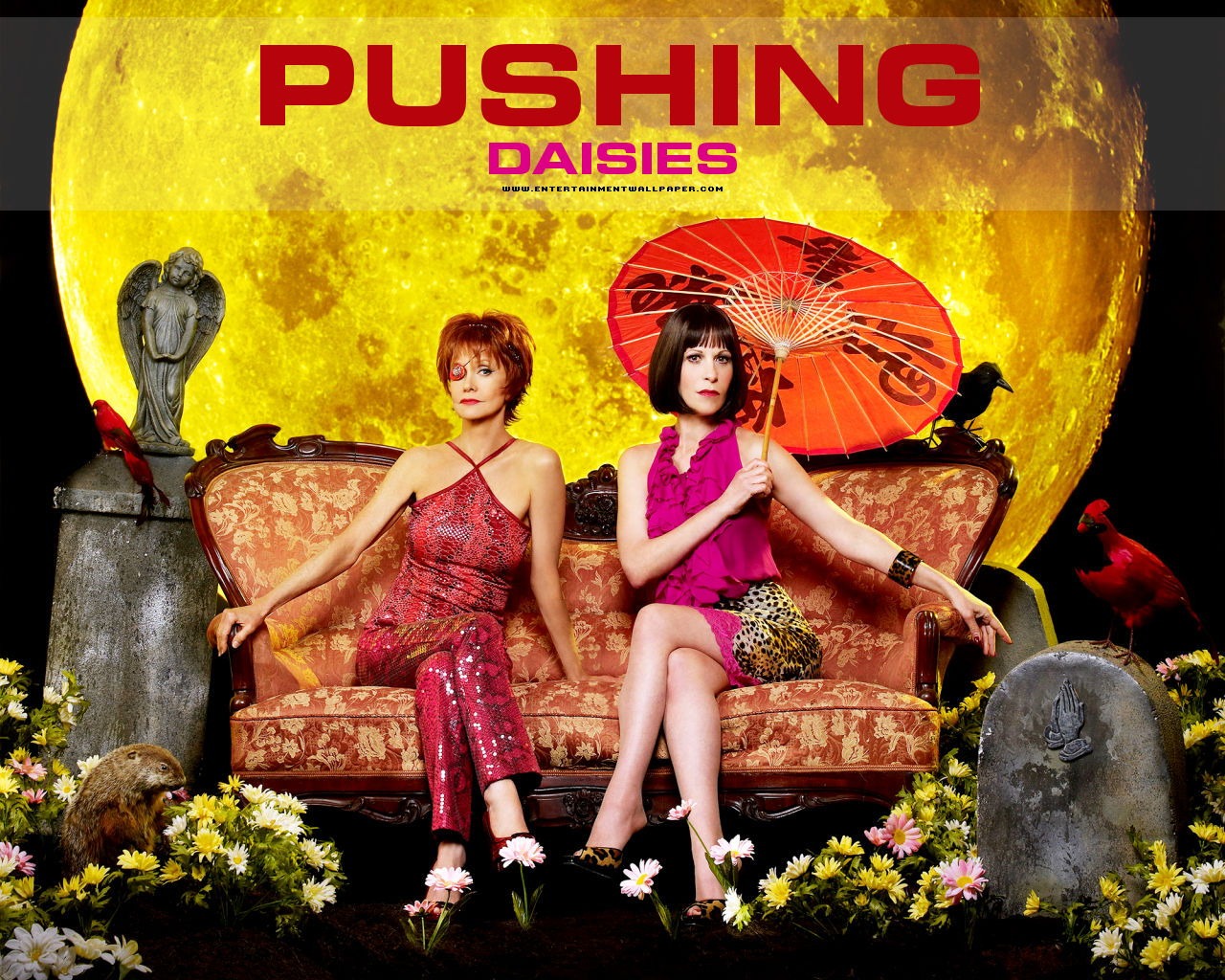Pushing Daisies 灵指神探13 - 1280x1024