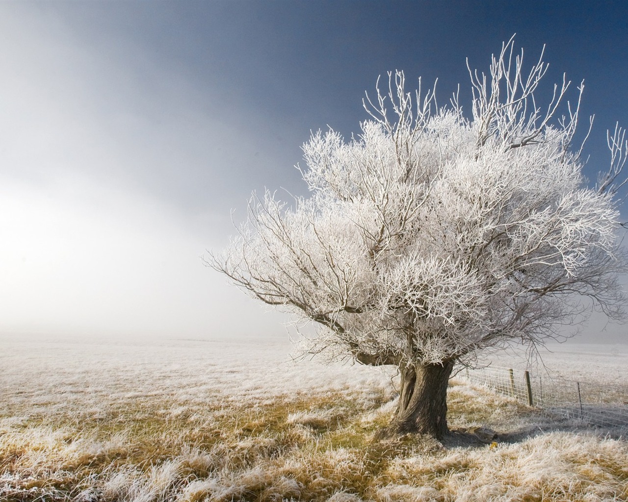 Nový Zéland je malebné krajině wallpaper #2 - 1280x1024