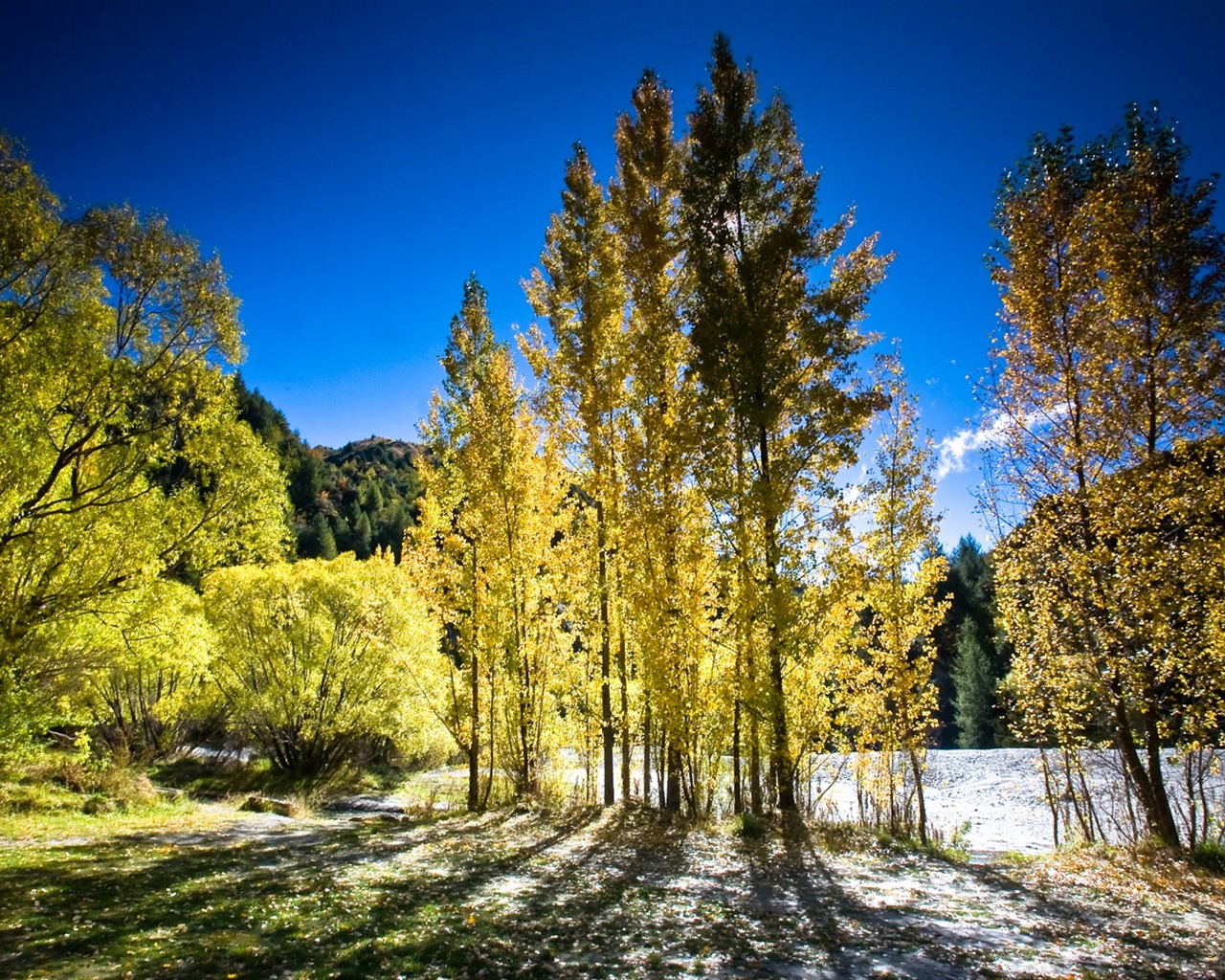 New Zealand's picturesque landscape wallpaper #6 - 1280x1024