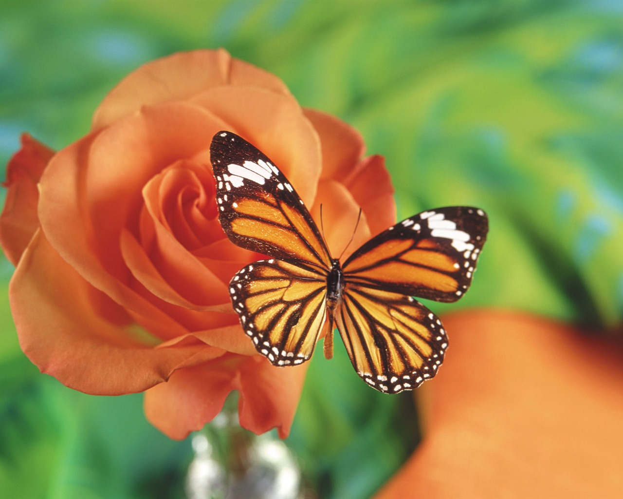 Schmetterlinge und Blumen Wallpaper Album (1) #14 - 1280x1024