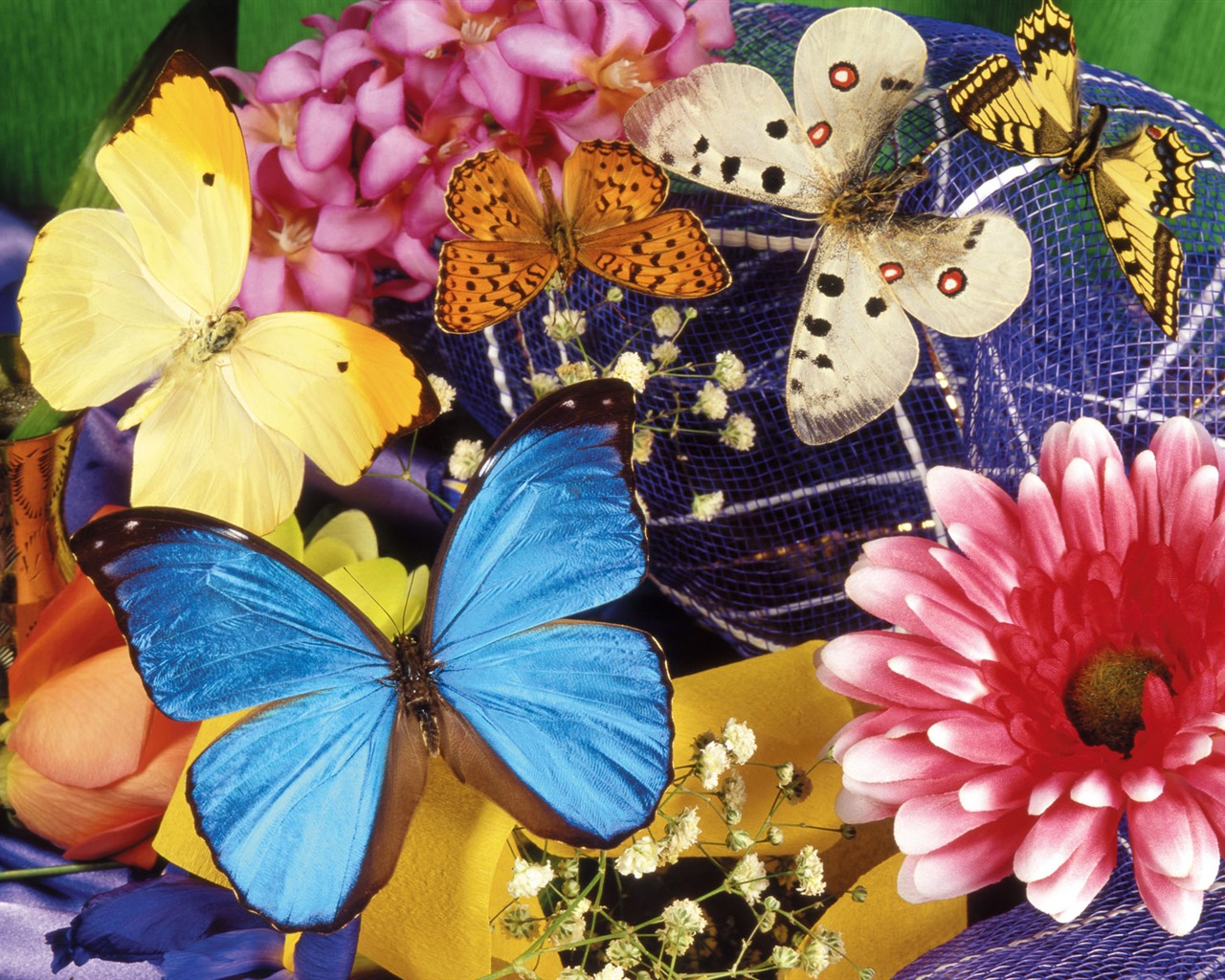 Papillons et fleurs album papier peint (1) #20 - 1280x1024
