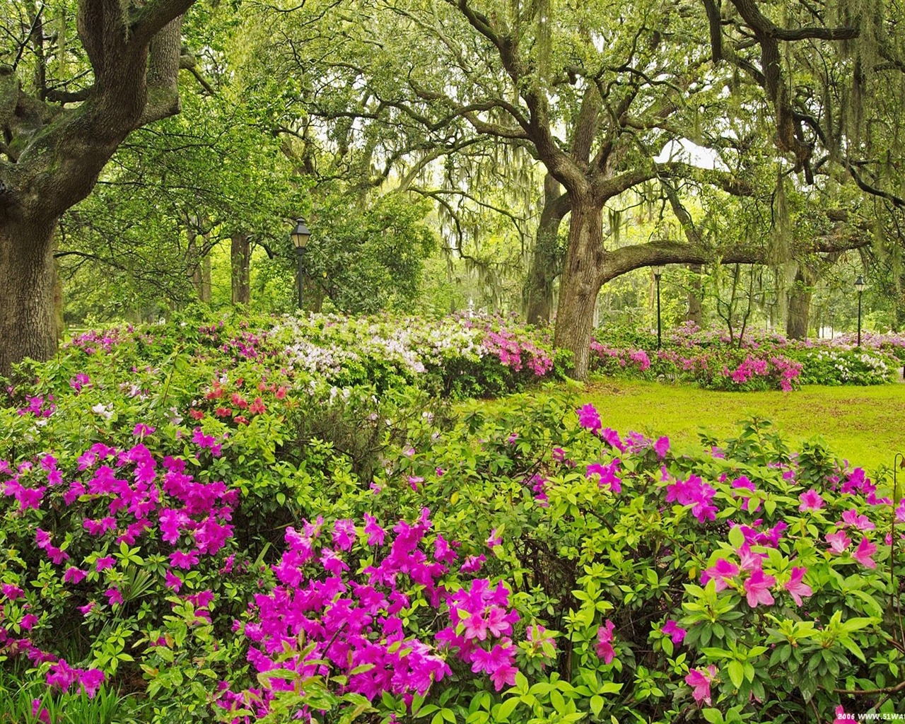 Fonds d'écran Art Garden #4 - 1280x1024