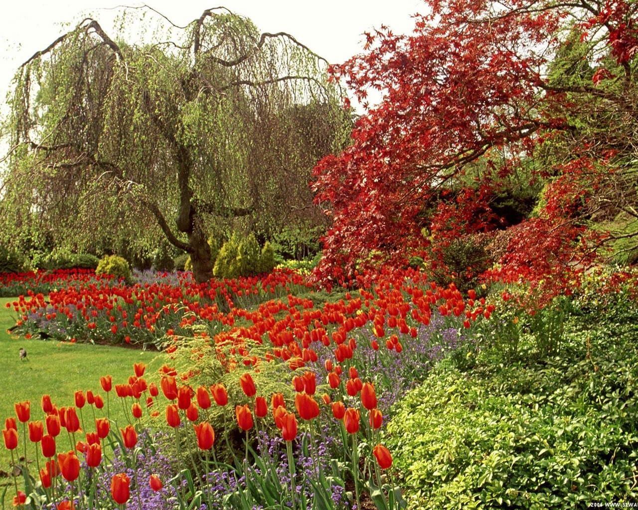 Fonds d'écran Art Garden #21 - 1280x1024