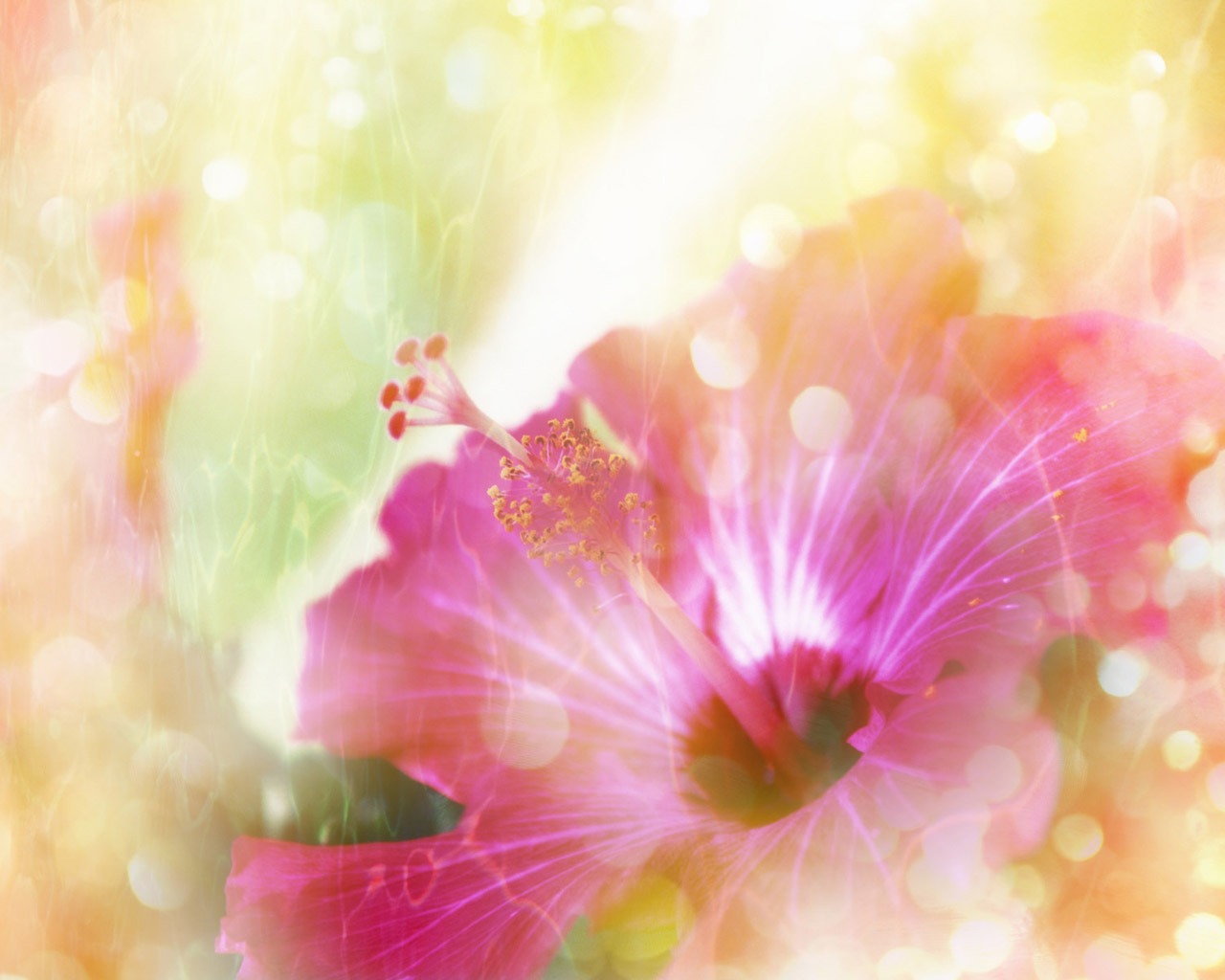 Fantasy CG Background Flower Wallpapers #18 - 1280x1024
