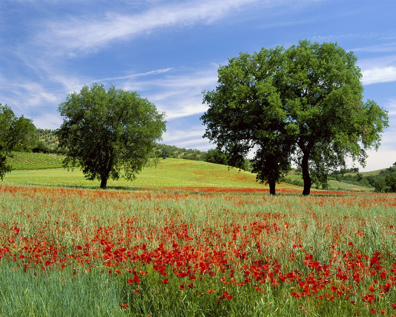 Un décor naturel magnifique Wallpaper #1 - 1280x1024