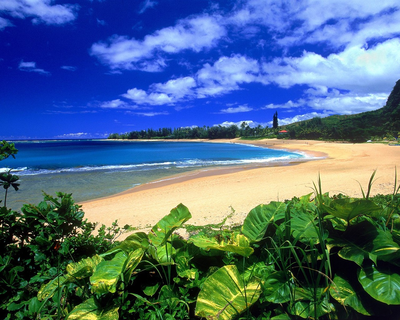 Hermoso paisaje de Hawai Wallpaper #11 - 1280x1024