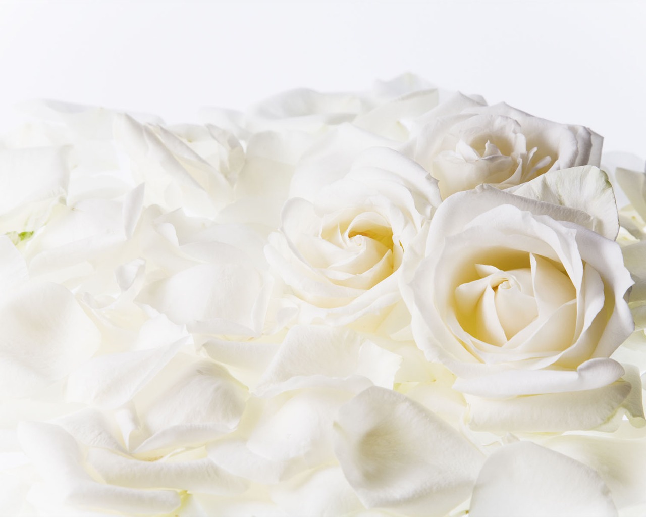 Flores Fondos de boda (4) #14 - 1280x1024