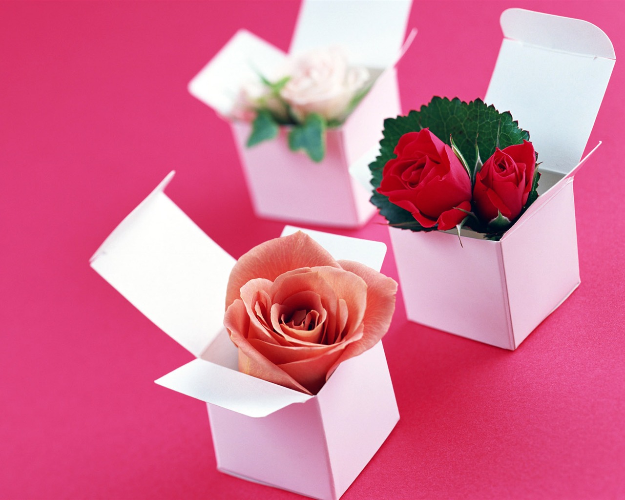 Flowers and gifts wallpaper (1) #1 - 1280x1024