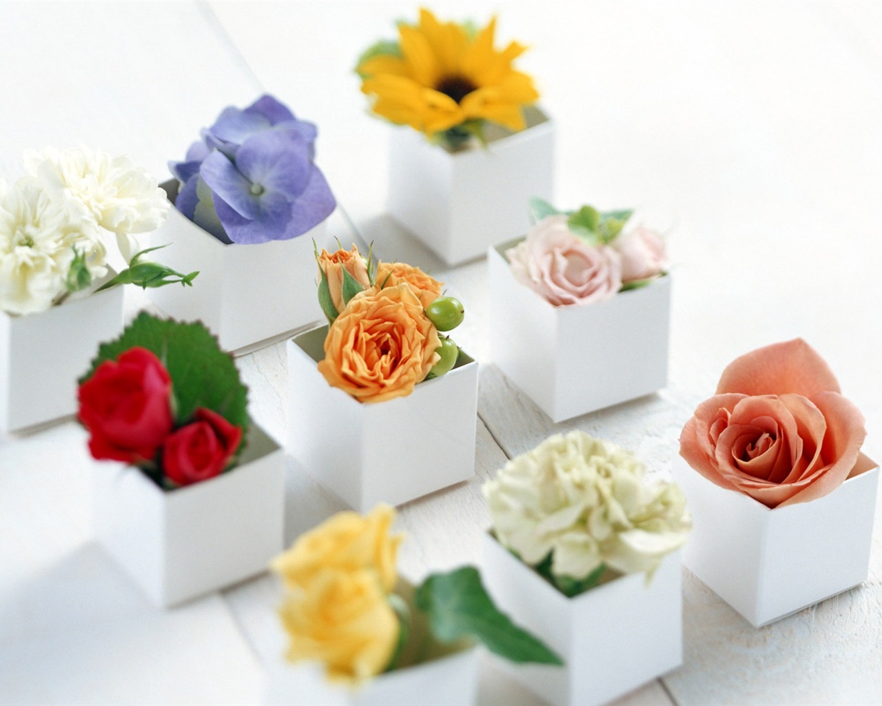 Flowers and gifts wallpaper (1) #2 - 1280x1024