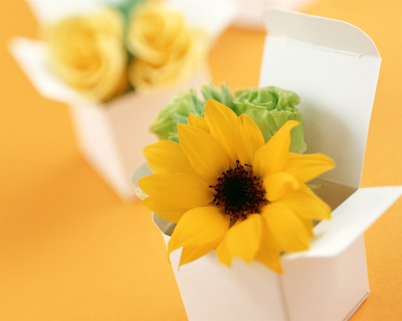 Flowers and gifts wallpaper (1) #5 - 1280x1024