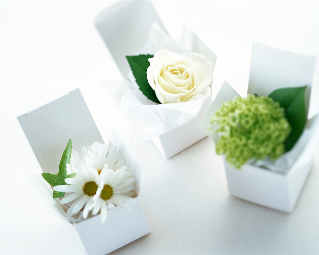 Flowers and gifts wallpaper (1) #16 - 1280x1024