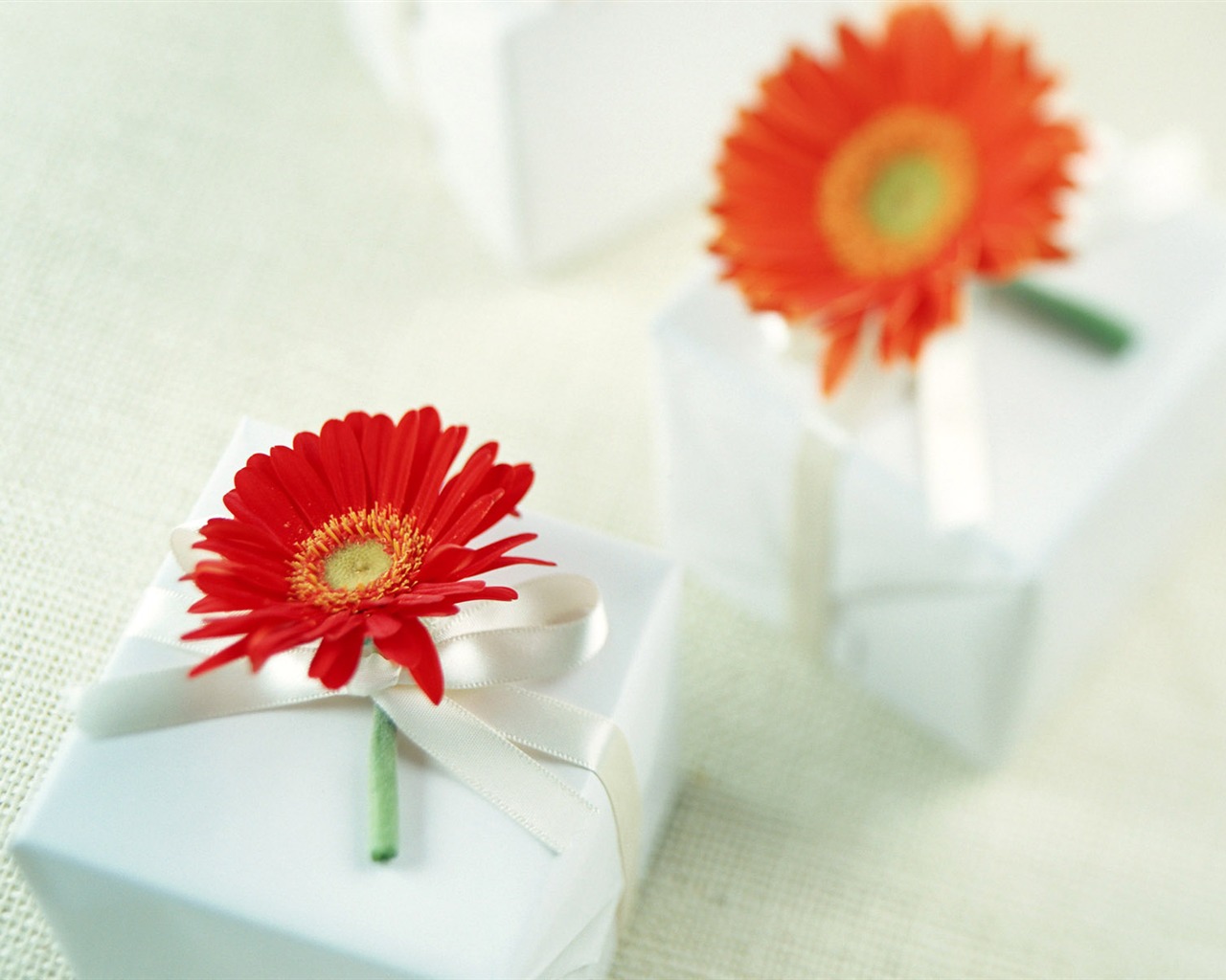 Flowers and gifts wallpaper (1) #18 - 1280x1024