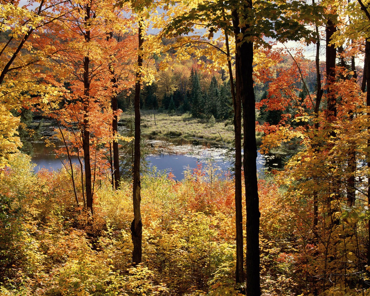 Wallpaper paisaje canadiense HD (2) #15 - 1280x1024