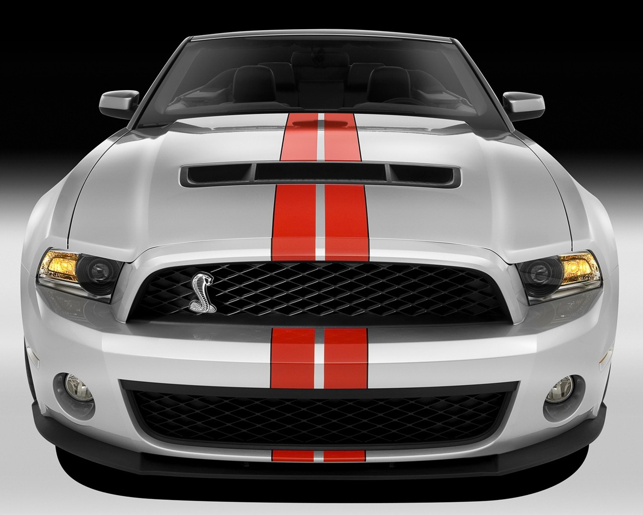 Ford Mustang GT500 Wallpapers #3 - 1280x1024