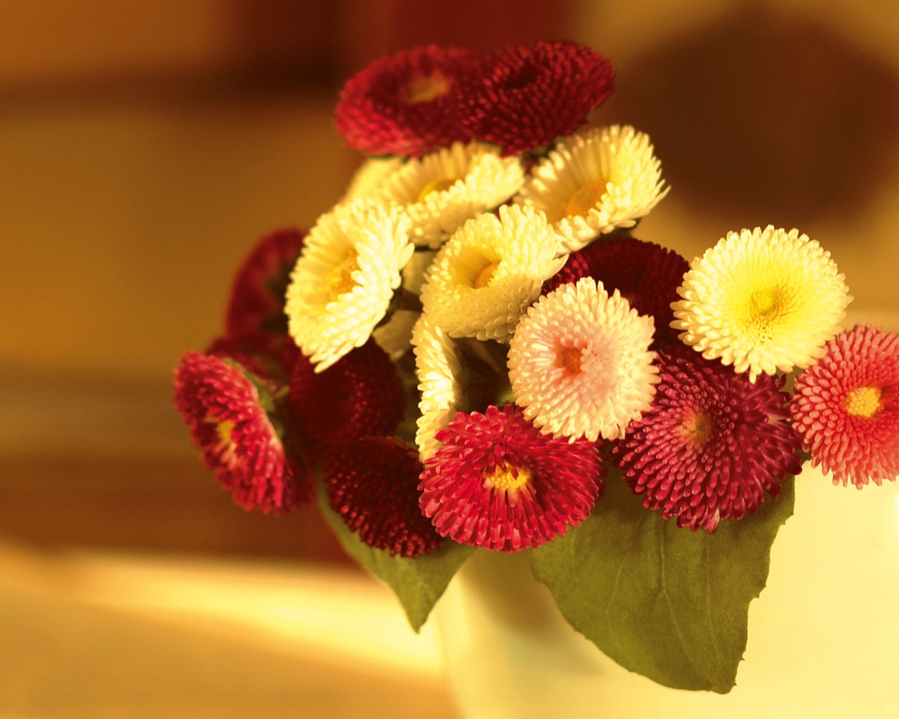 fondos de escritorio de flores con pantalla ancha de cerca (3) #19 - 1280x1024
