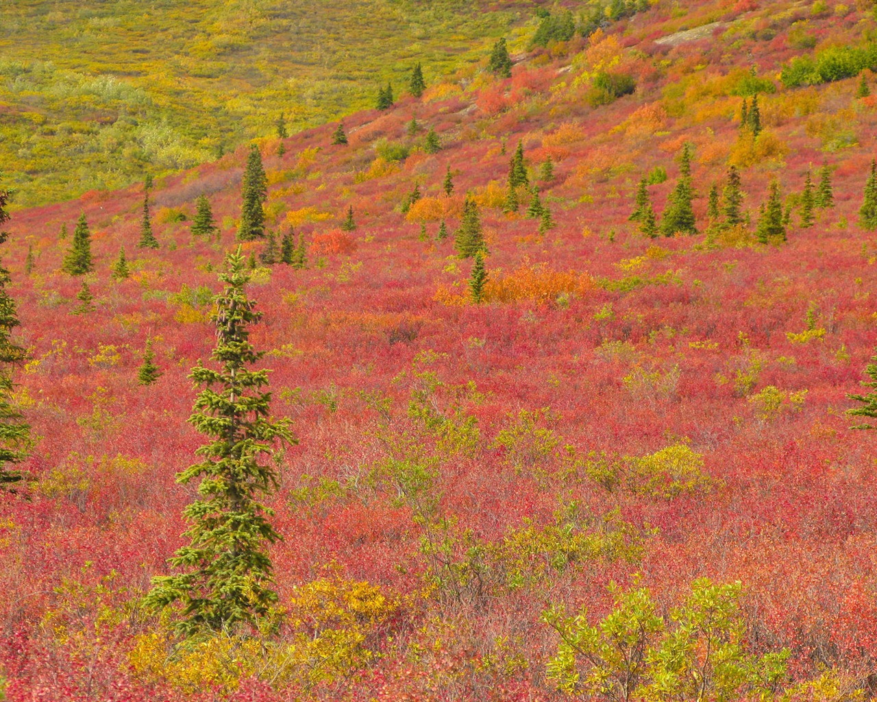 Fondos de escritorio de paisajes de Alaska (2) #2 - 1280x1024